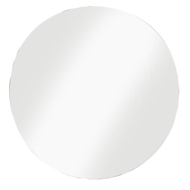 JACUZZI® 21'' W 31'' H Frameless Medicine with Mirror and 2 Adjustable Shelves & Reviews